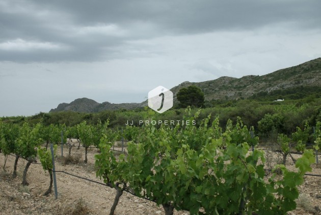 Neue Gebäude - Villa -
Yecla