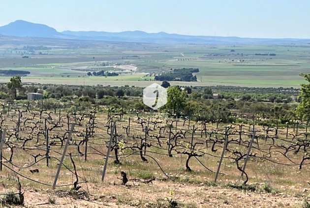 Neue Gebäude - Villa -
Yecla