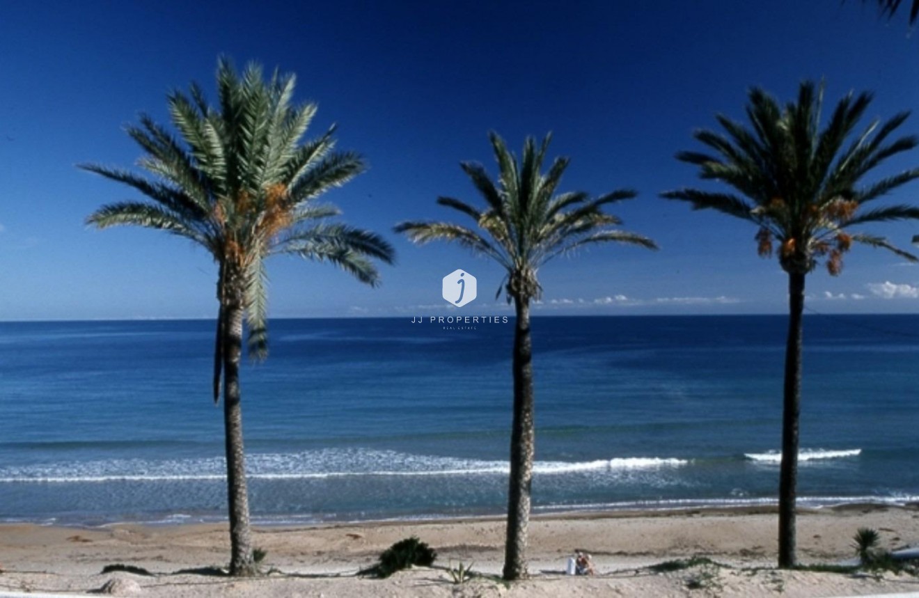 Obra nueva - Bungalow -
Pilar de la Horadada - Parque Ramon eugenio Escudero