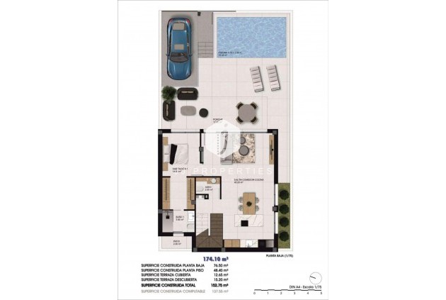 Obra nueva - Chalet -
Dolores - 03150