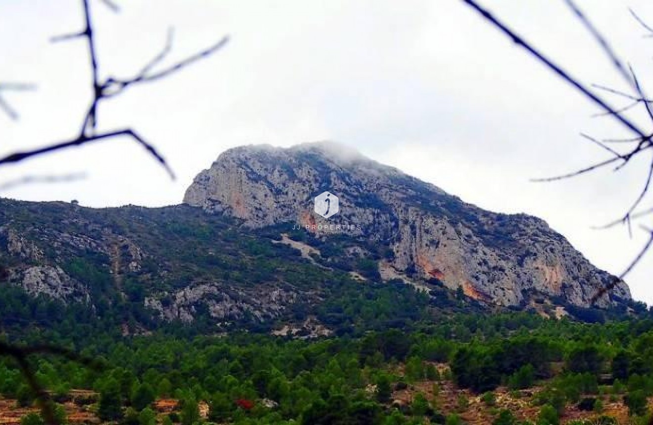 Nieuwbouw Woningen - Villa -
La Romana - Batistes