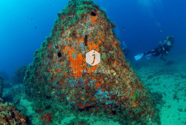 New Build - Penthouse -
Aguilas - Isla Del Fraile