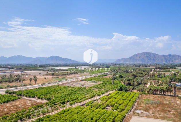 Nieuwbouw Woningen - Appartement / flat -
Jacarilla - pueblo