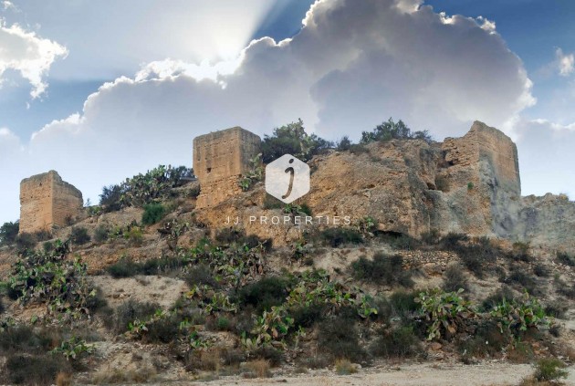 Nieuwbouw Woningen - Villa -
Aspe - Centro