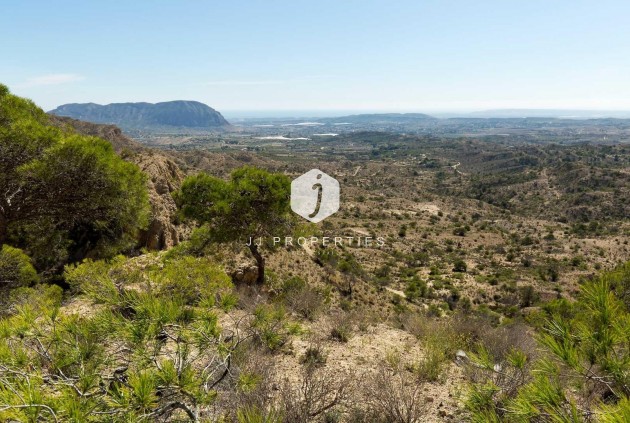 Nieuwbouw Woningen - Villa -
Aspe - Centro