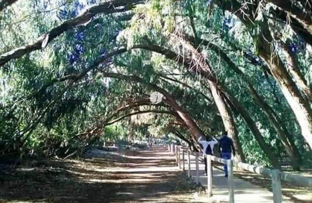 Nieuwbouw Woningen - Bungalow -
Torrevieja - Altos del Sol