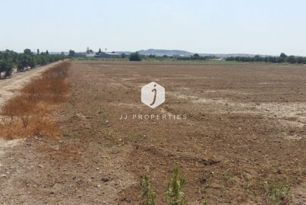 Tweedehands - Landelijk eigendom -
Daya Nueva - Costa Blanca