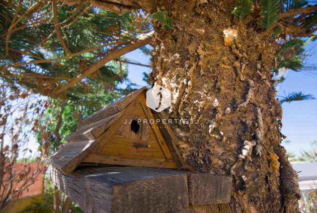 Tweedehands - Villa -
La Siesta - Costa Blanca