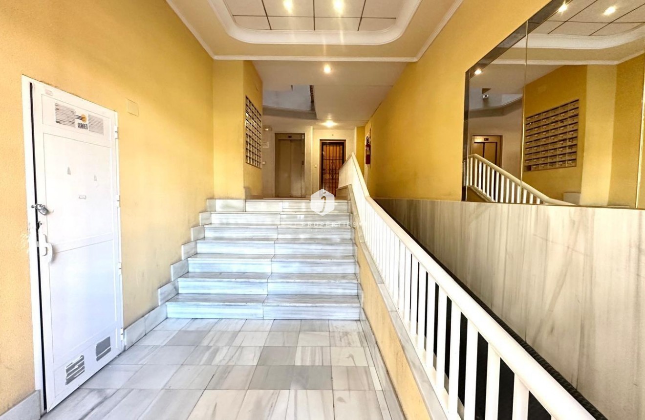 Tweedehands - Appartement / flat -
Torrevieja