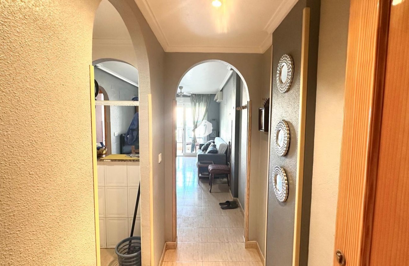 Tweedehands - Appartement / flat -
Torrevieja