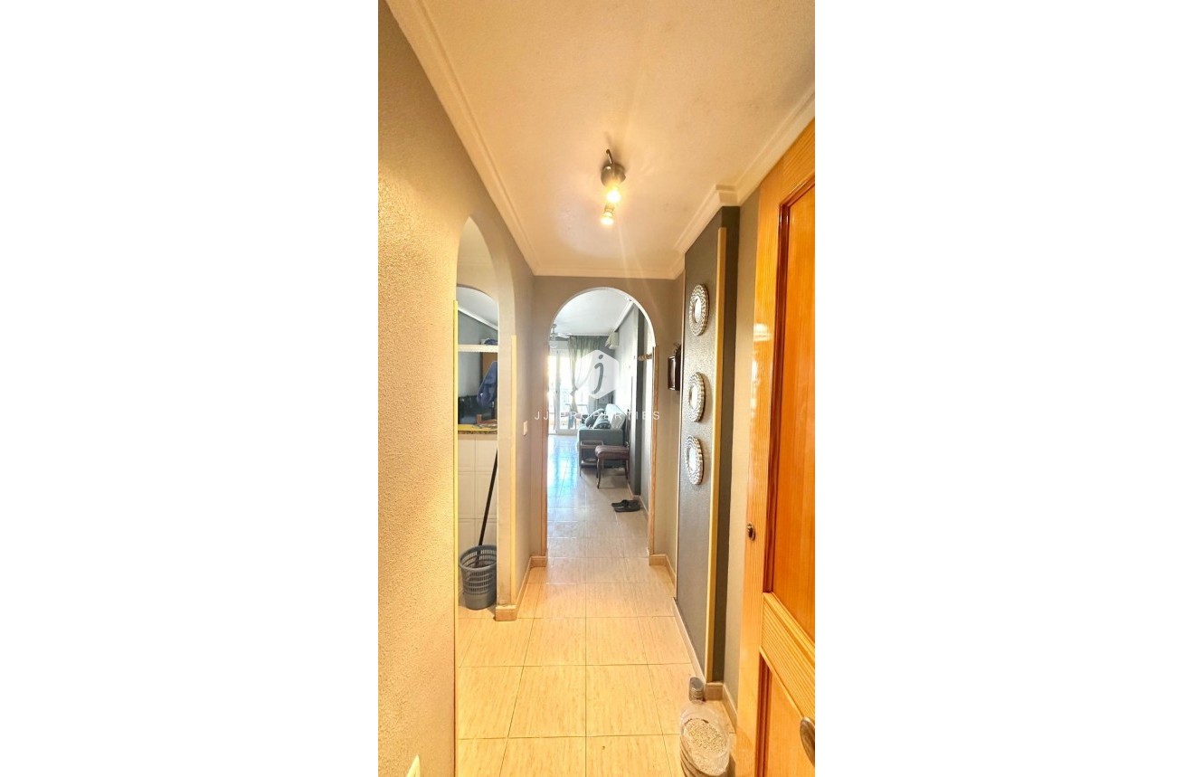 Tweedehands - Appartement / flat -
Torrevieja