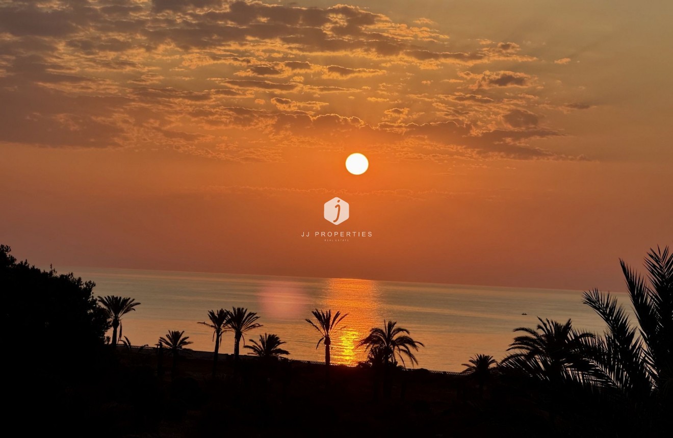 Tweedehands - Penthouse -
San Miguel de Salinas - Inland