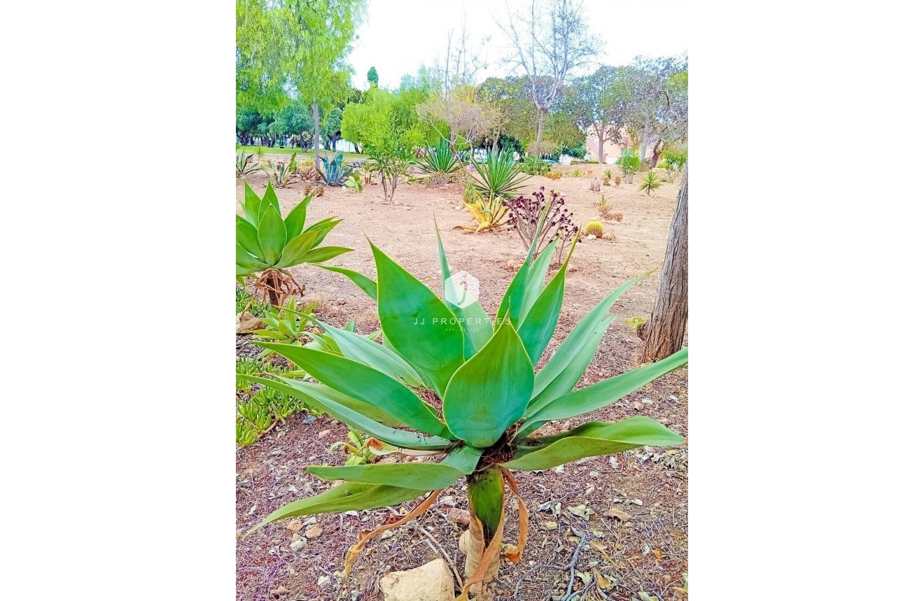 Tweedehands - Appartement / flat -
Orihuela Costa - La Florida