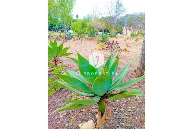 Tweedehands - Appartement / flat -
Orihuela Costa - La Florida