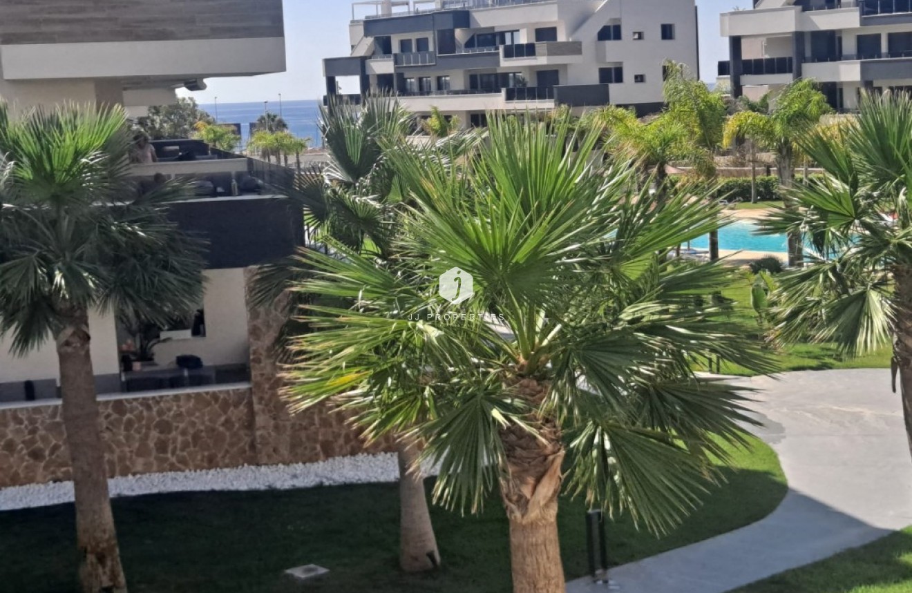 Segunda mano - Apartamento / piso -
Playa Flamenca - Costa Blanca