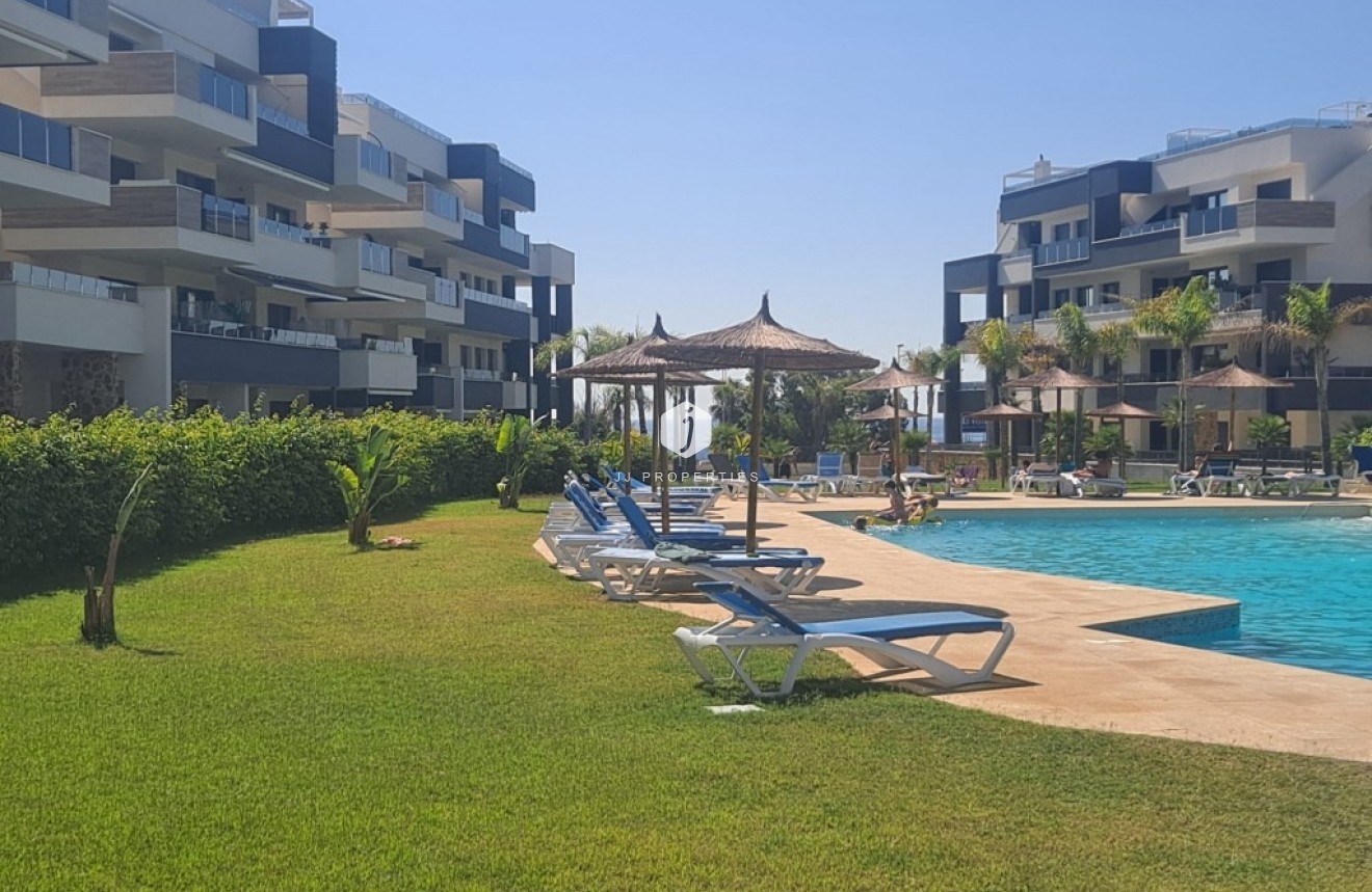 Segunda mano - Apartamento / piso -
Playa Flamenca - Costa Blanca