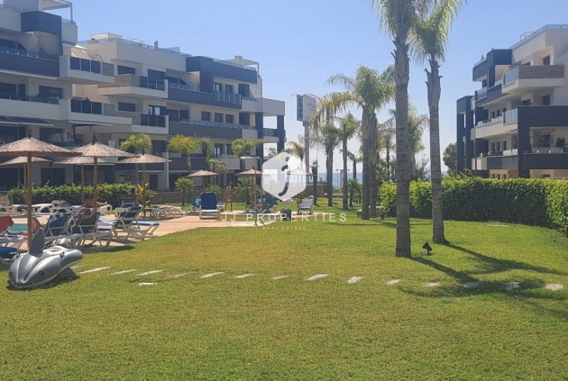 Segunda mano - Apartamento / piso -
Playa Flamenca - Costa Blanca