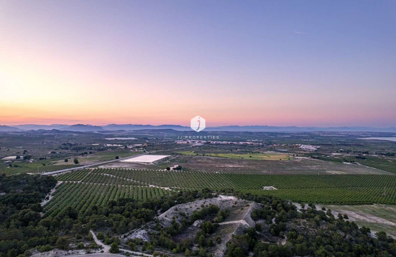 Tweedehands - Penthouse -
San Miguel de Salinas - Inland