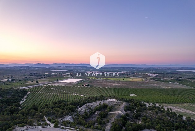 Tweedehands - Penthouse -
San Miguel de Salinas - Inland