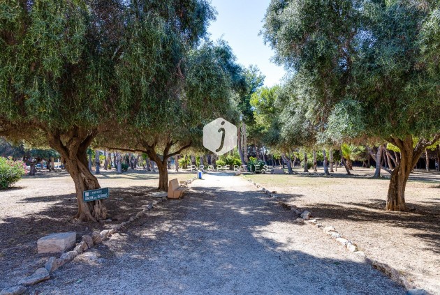 Aus zweiter Hand - Wohnung -
Torrevieja - Acequion