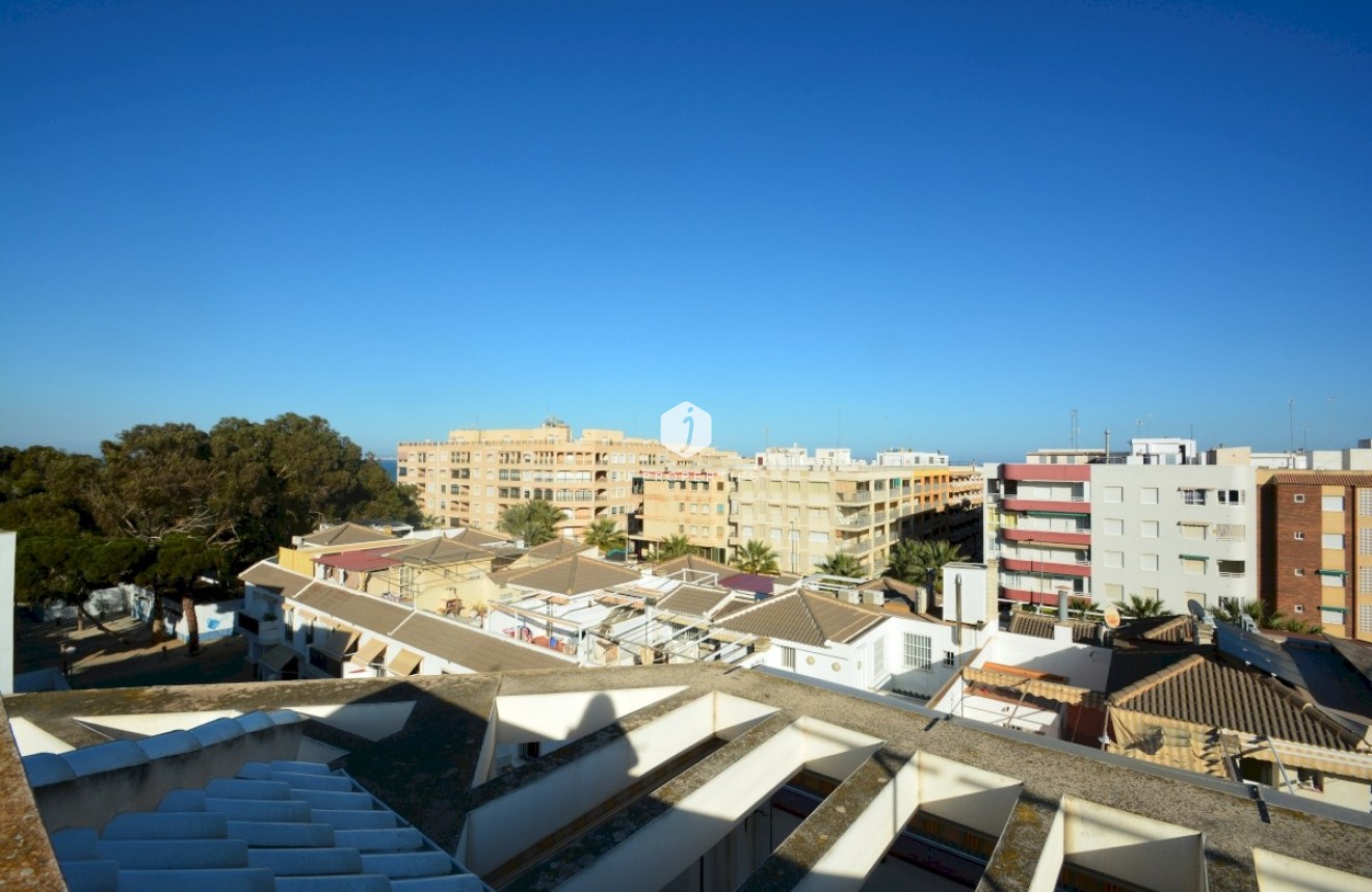 Tweedehands - Penthouse -
Guardamar del Segura - Costa Blanca
