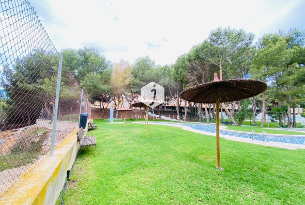 Z drugiej ręki - Mieszkanie w bloku -
Orihuela Costa - Altos De Campoamor