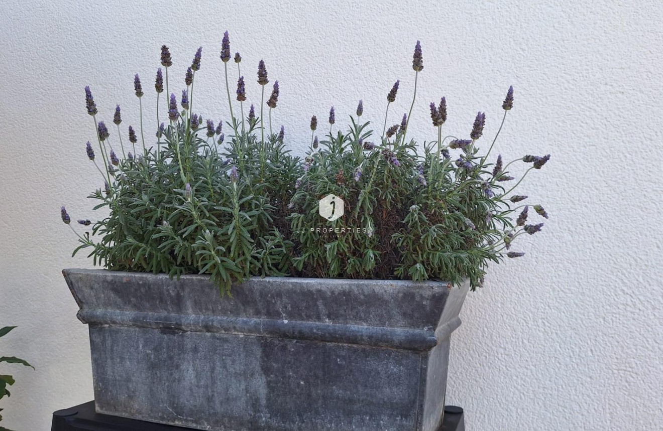 D'occasion - Villa -
Torrevieja - Los Balcones - Los Altos del Edén