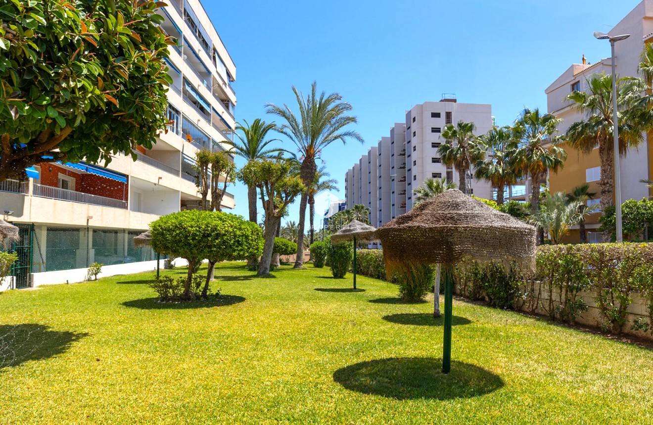 Segunda mano - Apartamento / piso -
Torrevieja - Costa Blanca
