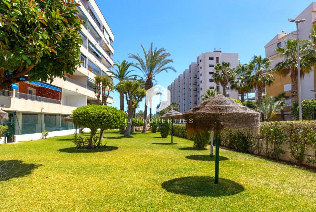 Segunda mano - Apartamento / piso -
Torrevieja - Costa Blanca