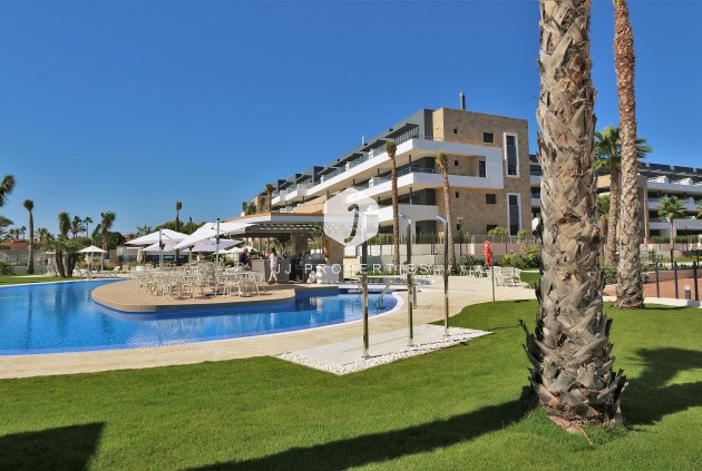Tweedehands - Appartement / flat -
Playa Flamenca - Costa Blanca