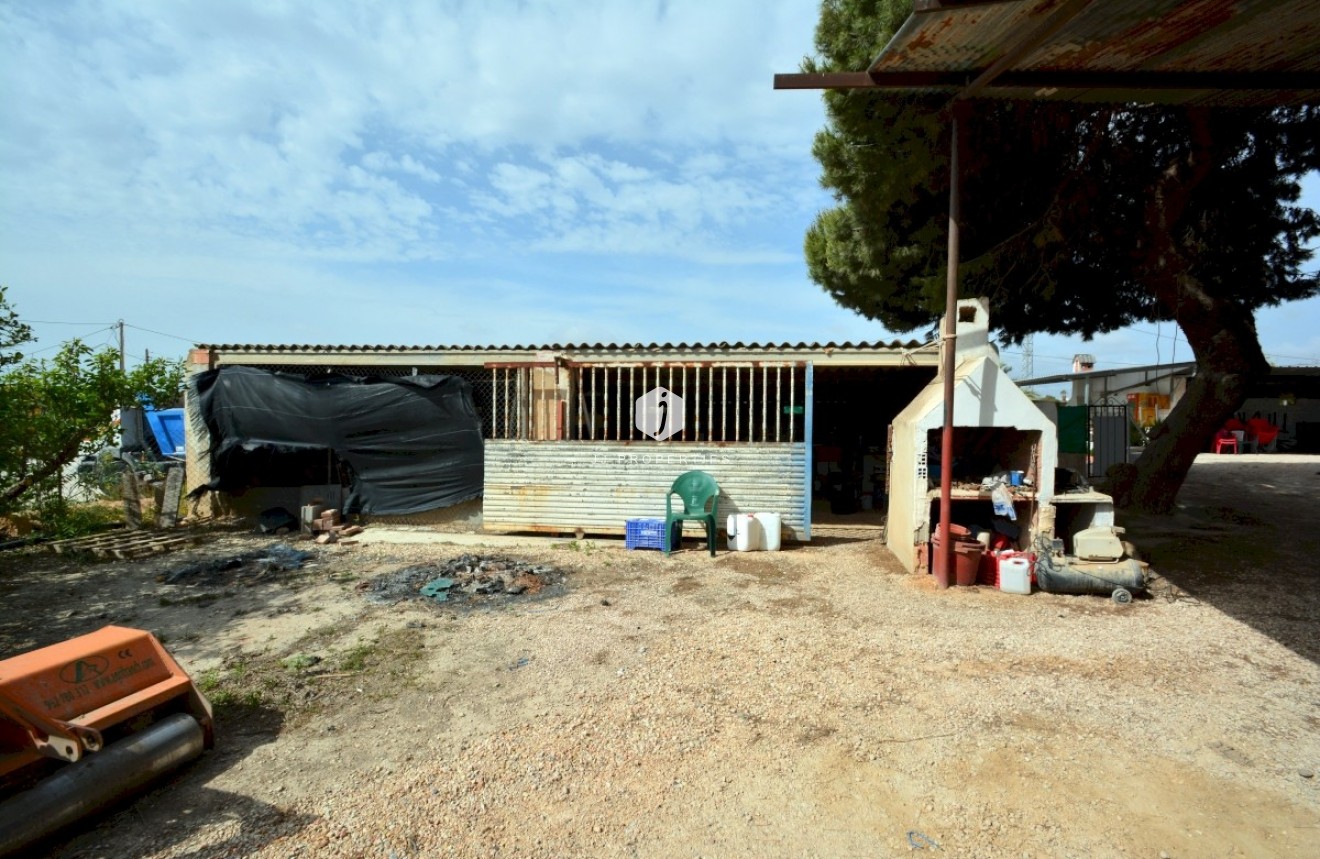 Tweedehands - Villa -
Guardamar del Segura - Costa Blanca