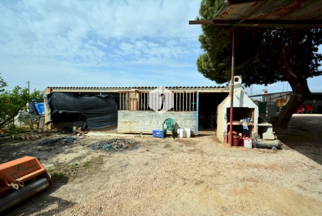 Tweedehands - Villa -
Guardamar del Segura - Costa Blanca