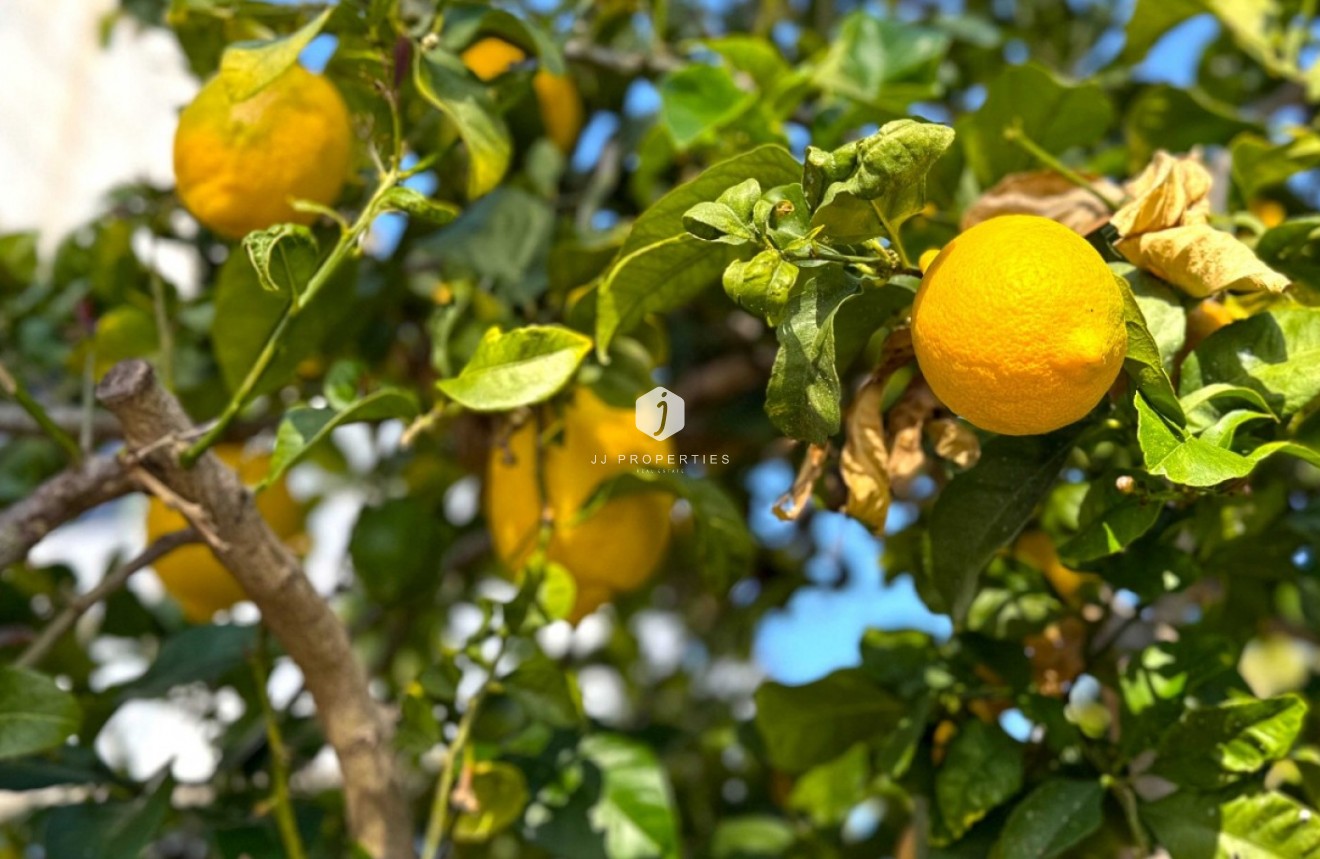 Tweedehands - Villa -
Orihuela Costa - Costa Blanca