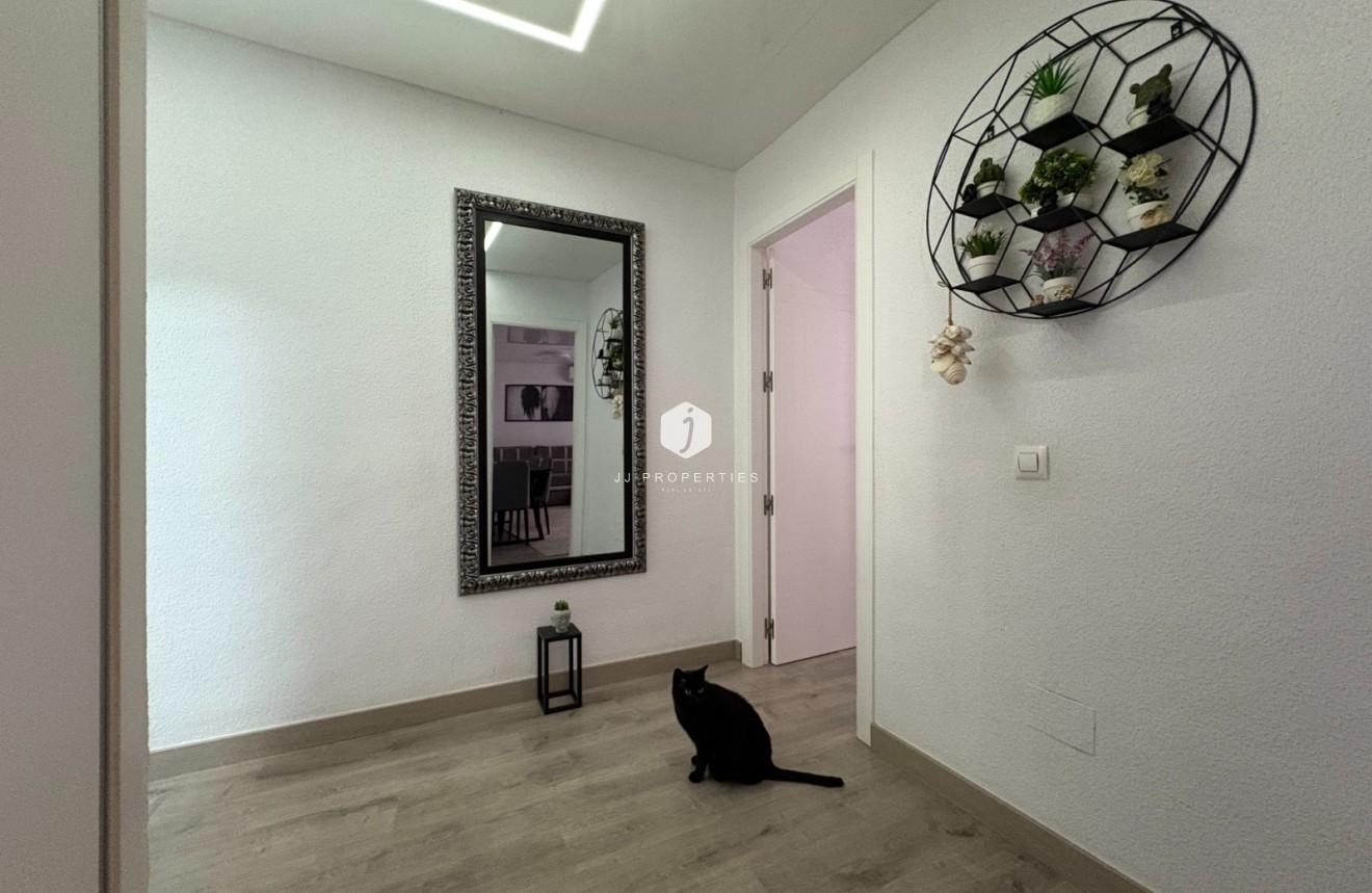 Tweedehands - Appartement / flat -
Torrevieja - Costa Blanca