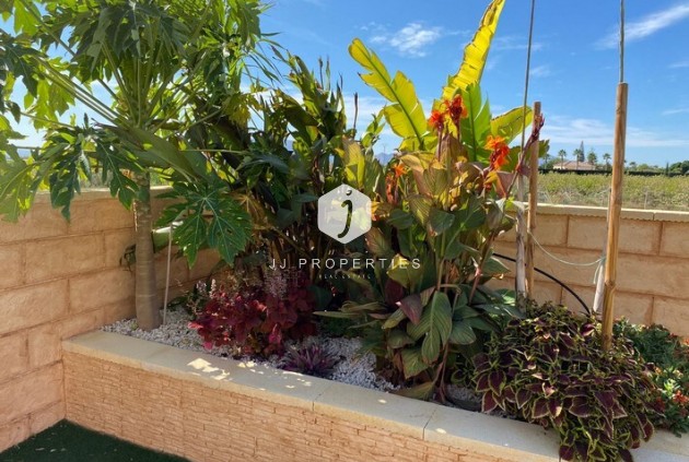 Tweedehands - Landelijk eigendom -
Albatera - Inland