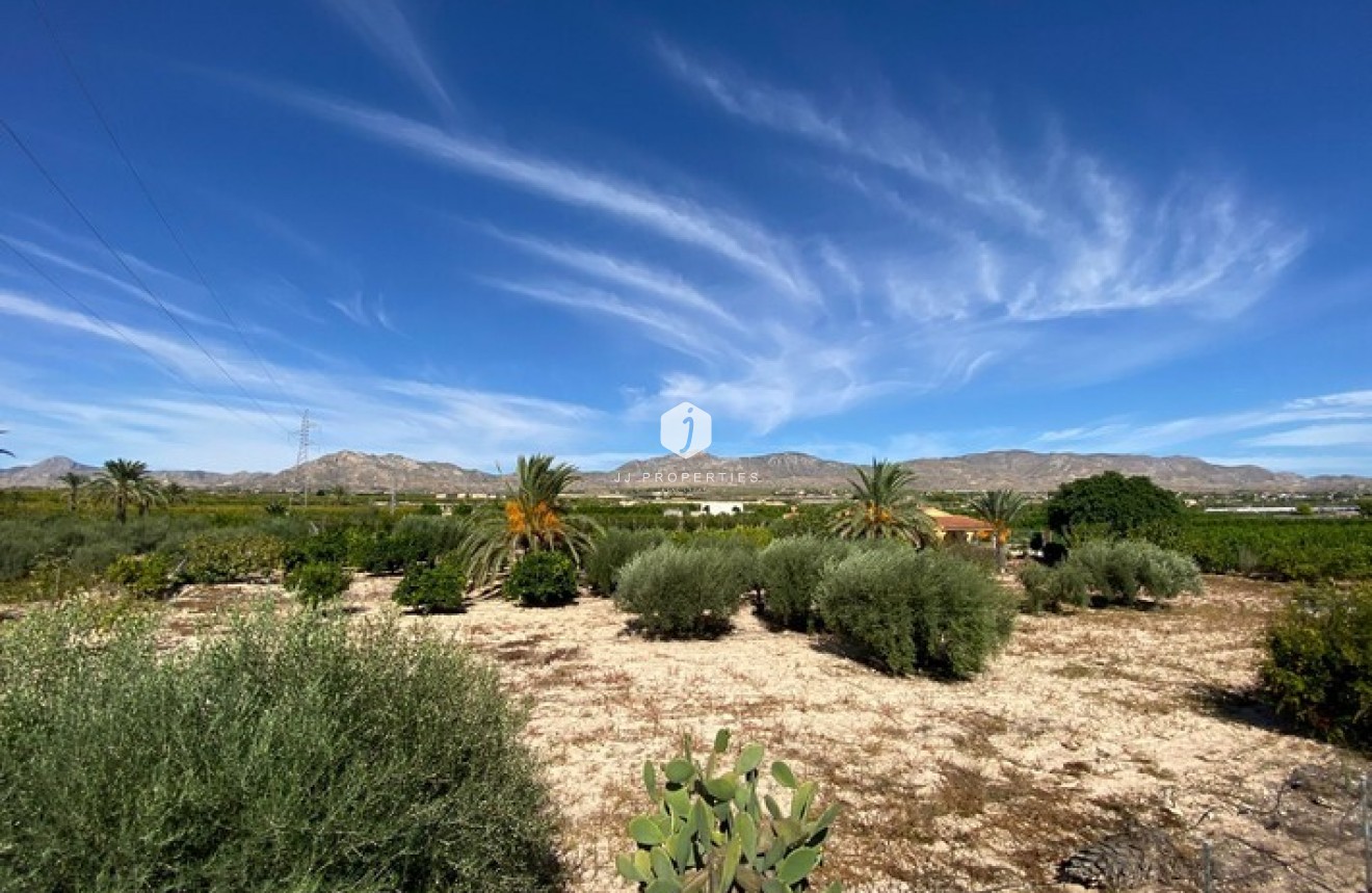 Tweedehands - Landelijk eigendom -
Albatera - Inland