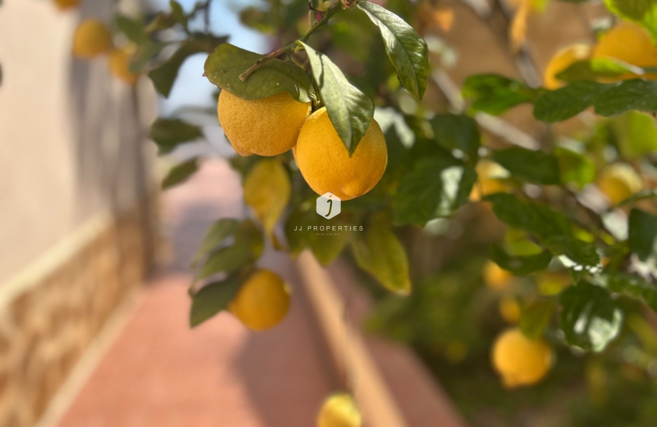 Tweedehands - Villa -
Algorfa - Inland