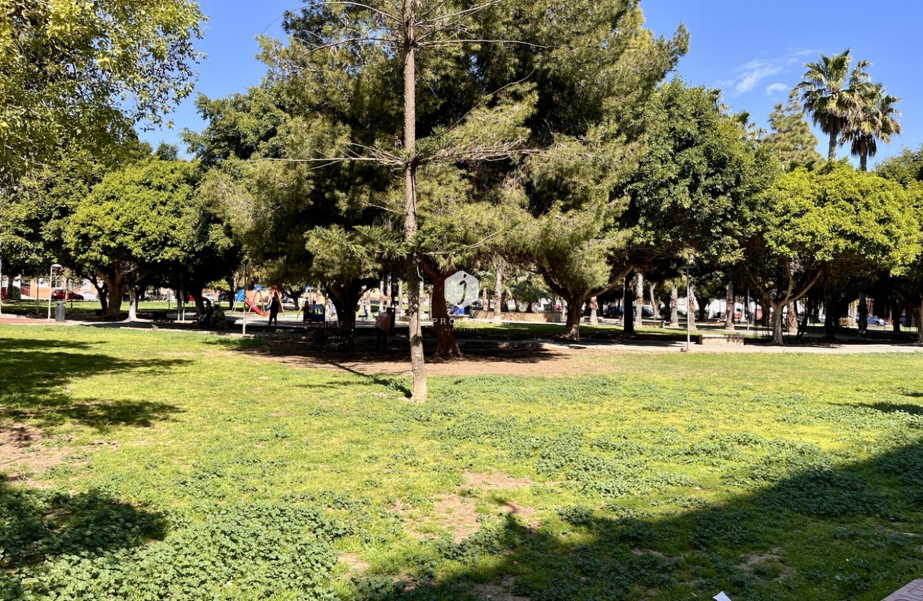 D'occasion - Appartement -
Torrevieja - Costa Blanca