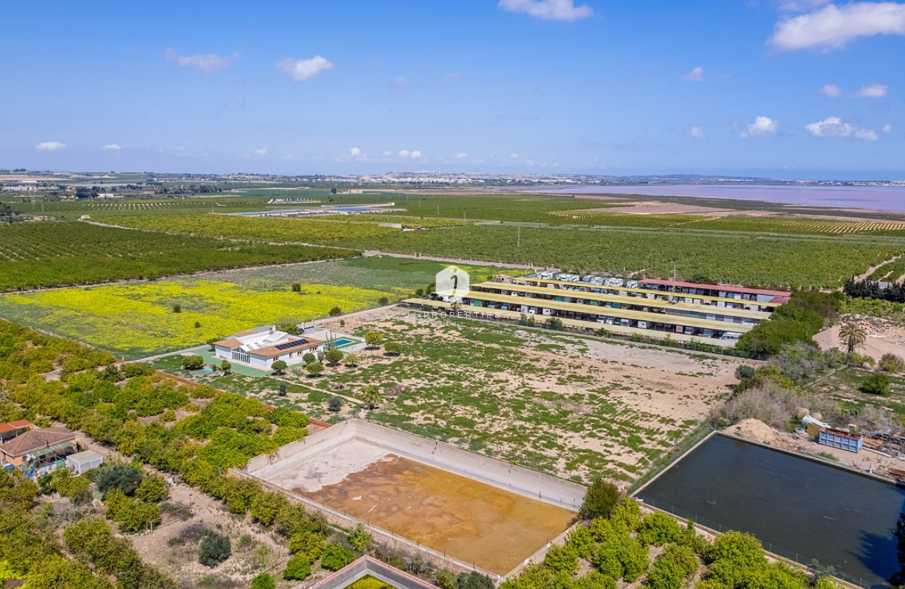 Tweedehands - Villa -
Los Montesinos - Costa Blanca