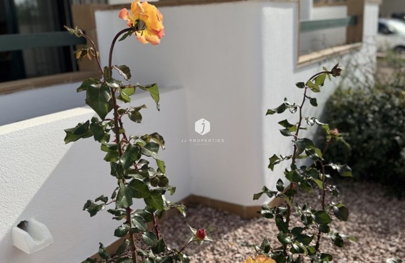 Tweedehands - Appartement / flat -
Orihuela Costa - Costa Blanca