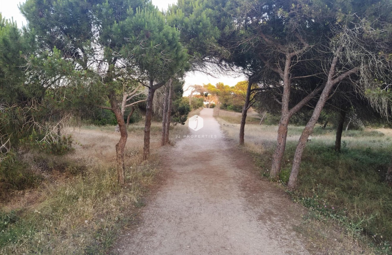 Resale - Apartment / flat -
Guardamar del Segura - Pinomar