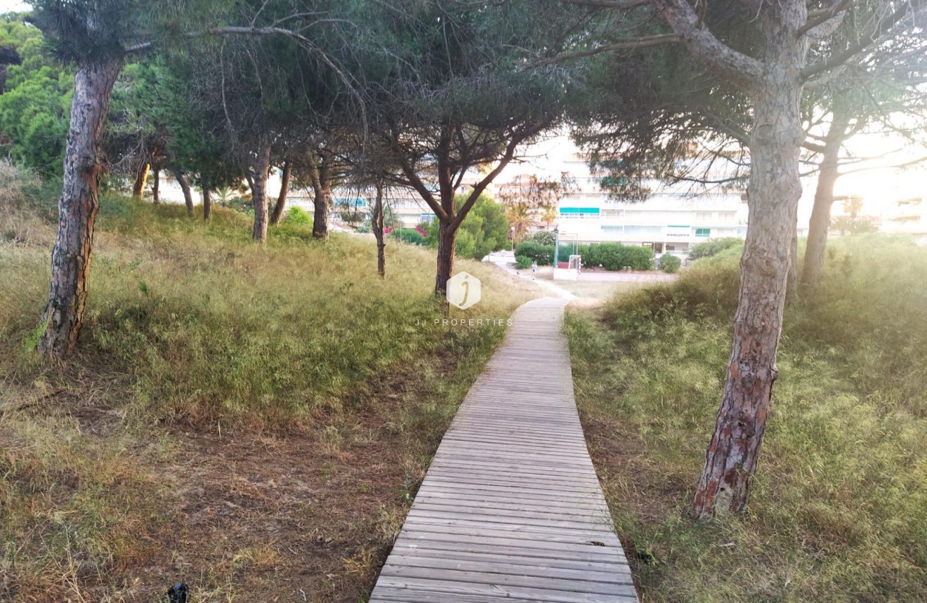 Resale - Apartment / flat -
Guardamar del Segura - Pinomar