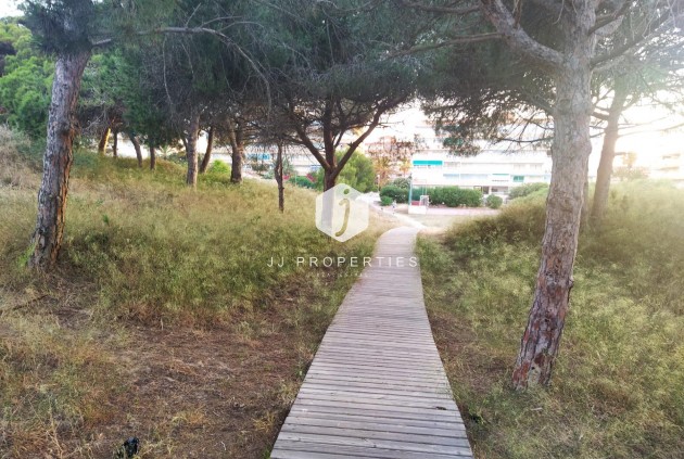 Resale - Apartment / flat -
Guardamar del Segura - Pinomar