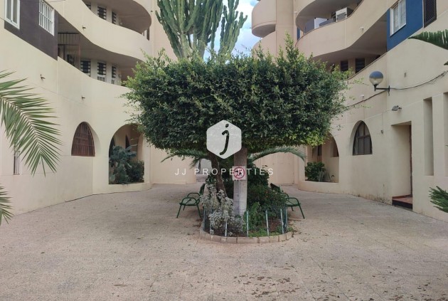 Tweedehands - Appartement / flat -
Torrevieja - La veleta