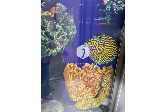 Tweedehands - Villa -
San Miguel de Salinas - Altos De San Miguel