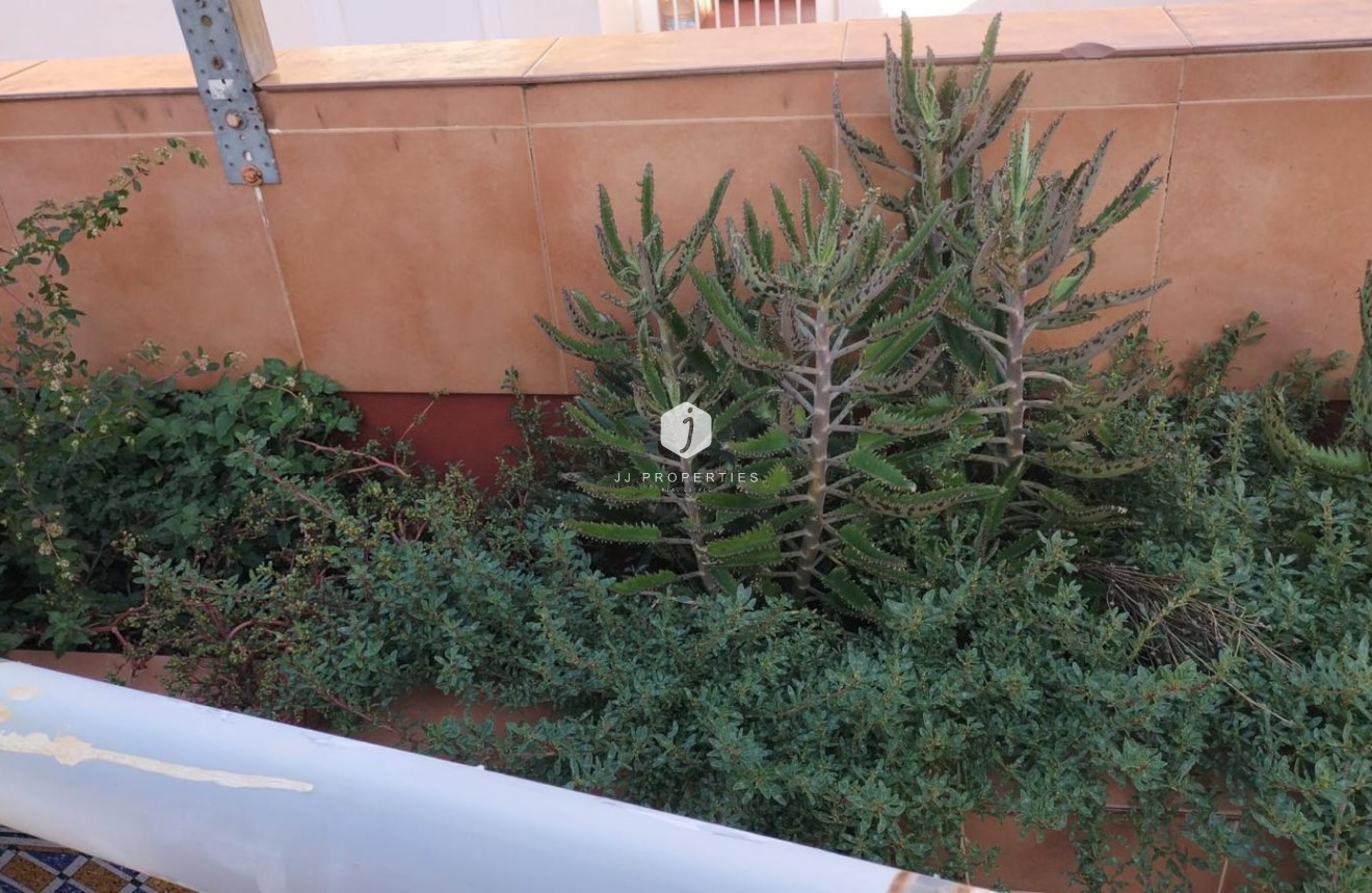 Tweedehands - Appartement / flat -
Torrevieja - La Mata