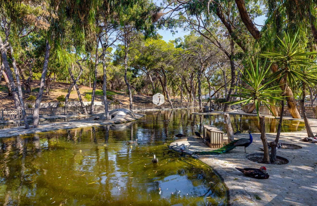 Z drugiej ręki - Mieszkanie w bloku -
Guardamar del Segura - Costa Blanca