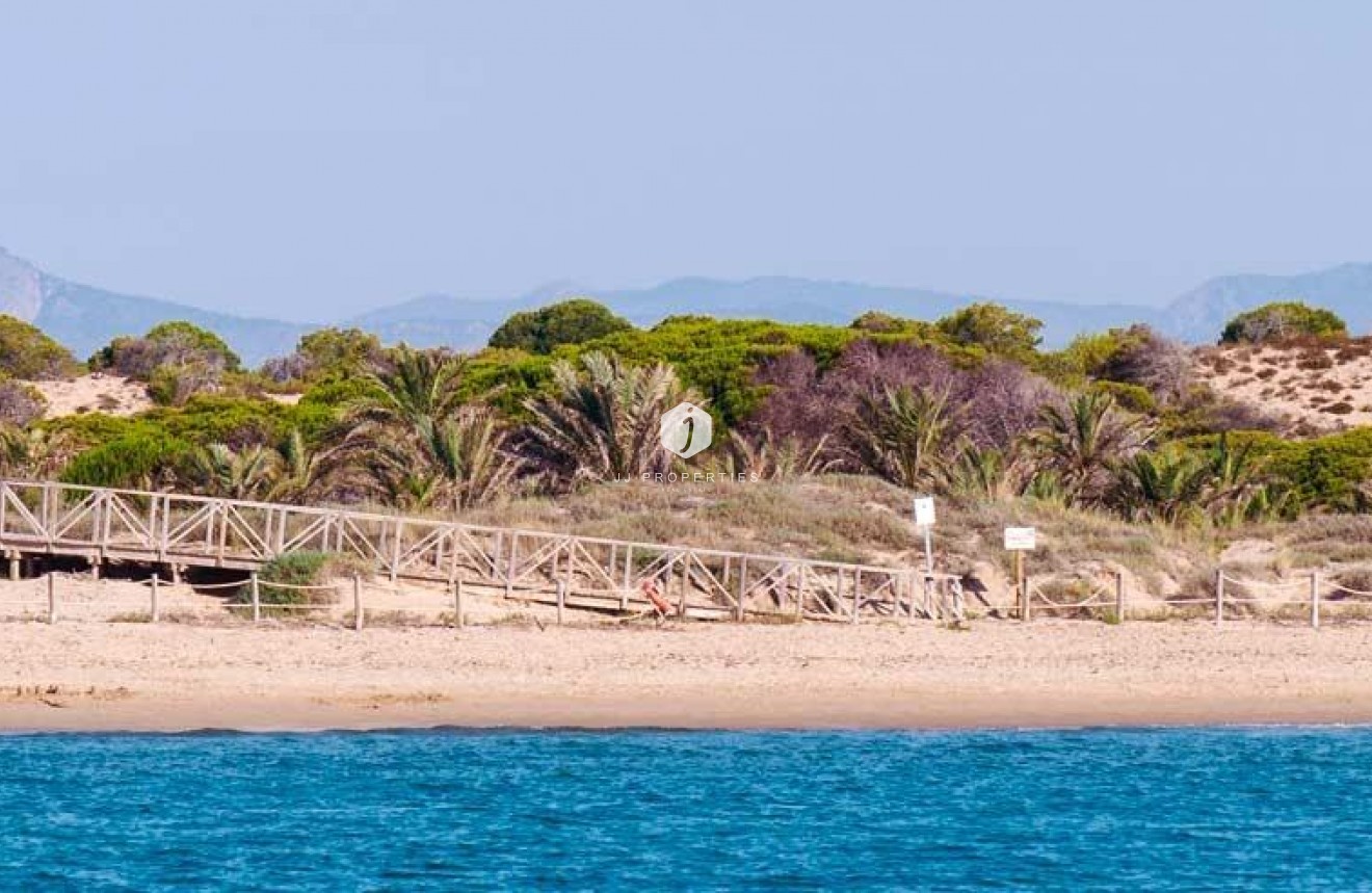 Obra nueva - Ático -
Guardamar del Segura - Pueblo