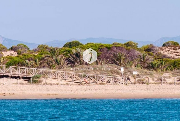 Obra nueva - Ático -
Guardamar del Segura - Pueblo