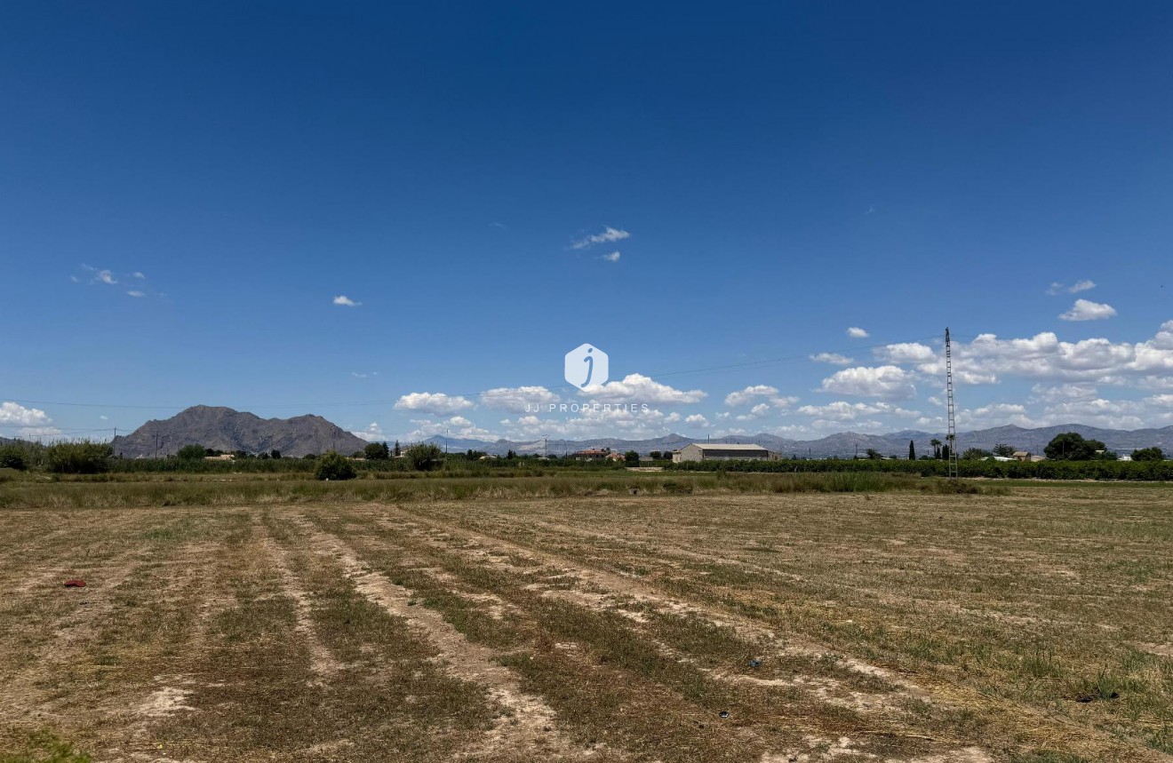 Tweedehands - Appartement / flat -
Almoradí - Inland